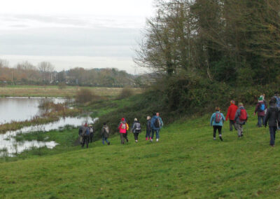 Photo from Wareham Forest walk, November 29 2023