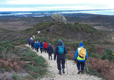 Photo of group approaching Agglestone Rock on the pre-lunch walk, December 13, 2023