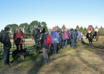 Group gives way to horses, January 10, 2024