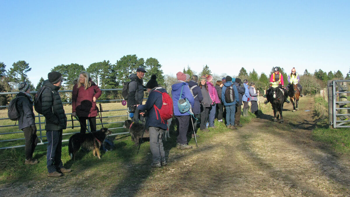 Group gives way to horses, January 10, 2024