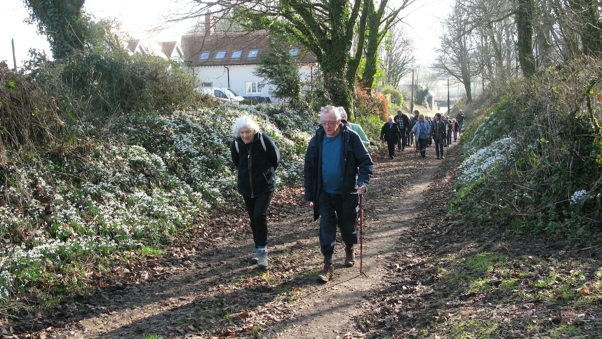 Swanage Walking Group Snowdrop Walk Bloxworth