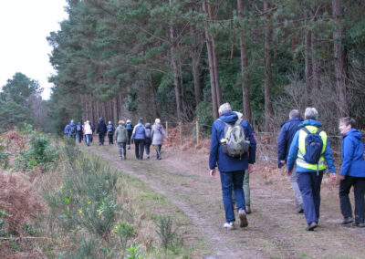 Photo of walkers on the Burnbake/Bushey walk – Jan 31, 2024