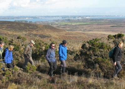 Photo of walkers with Poole Harbour in the distance – Feb 10, 2024