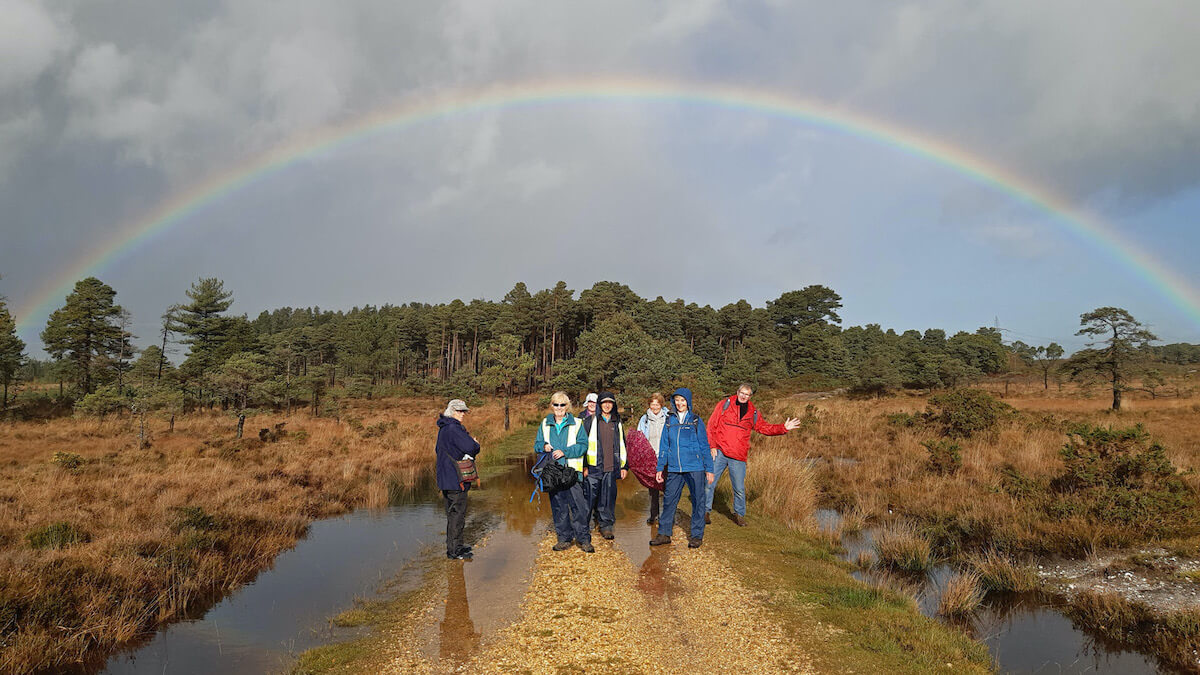 Swanage Walking Group Wareham Forest