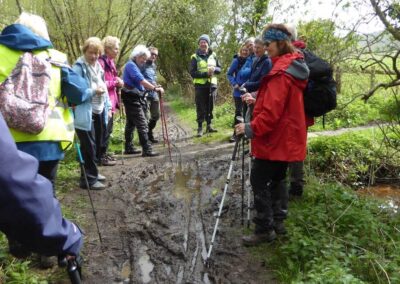 Photo of walkers trying to avoid the mud in Norden plantation – April 6, 2024