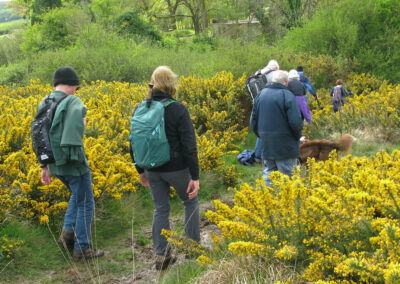 Photo of walkers on Purbeck Way going northwards across Corfe Common – April 27, 2024