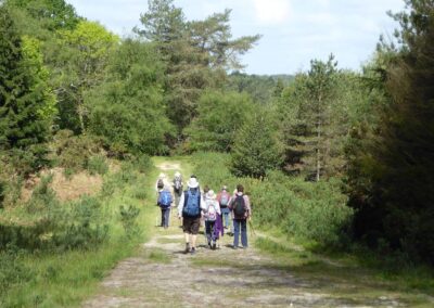 Photo of walkers on a wide track – May 15, 2024