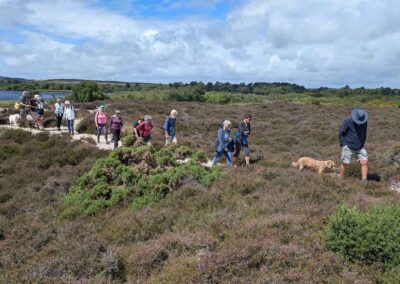 Photo of walkers crossing heathland – July 10, 2024