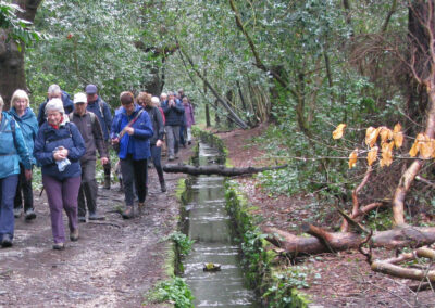 Photo of walkers near the top of Branksome Chine – February 22, 2025