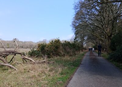 Photo of walkers on a quiet lane during the Bloxworth to East Morden walk – March 26, 2025