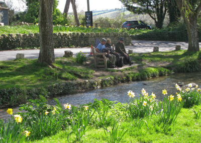 Photo taken by the duck pond at Sutton Poyntz – April 2, 2025