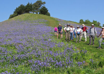 Photo of walkers on Colmer's Hill – May 3, 2025