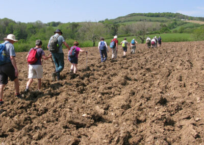 Photo of walkers struggling across a ploughed field – May 3, 2025