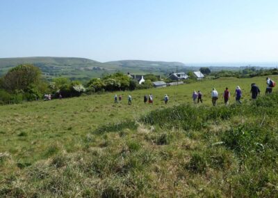 Photo of walkers descending Primrose Hill – May 14, 2025