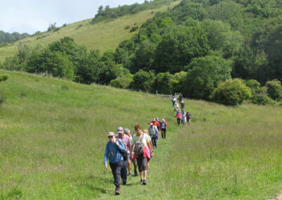 Photo of walkers on the ascent from Ulwell Gap – June 11, 2025