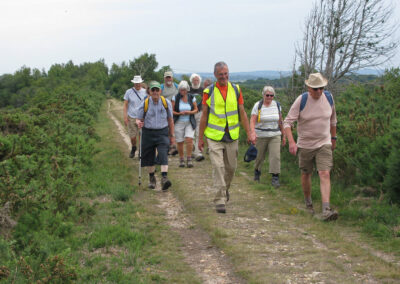 Photo of walkers on the trackbed of the former Pike Brothers' Tramway, now part of the Poole Harbour Trail – June 21, 2025