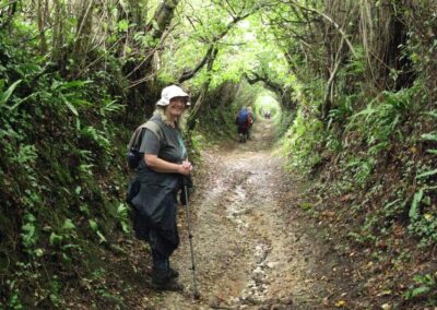 Isle of Wight HF Holiday: Photo of walkers on a hollow way – September 3, 2025