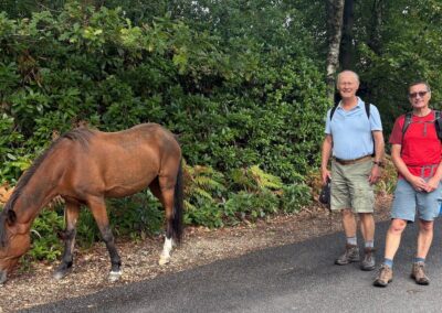 Photo of walkers with New Forest pony – September 13, 2025