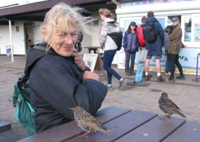 Photo of walkers and some bold starlings at the cafe at Hengistbury Head – October 4, 2025