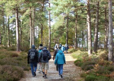 Photo of walkers in woods on Brownsea Island – October 25, 2025
