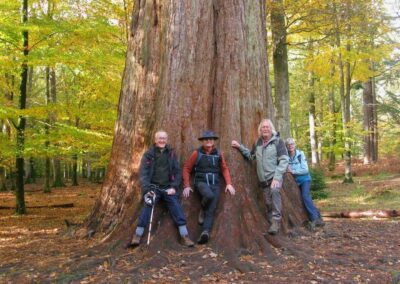 Photo of walkers at a tree worth hugging – November 1, 2025