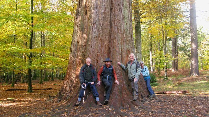 November 2025 photo gallery Link to November 2025 photo gallery