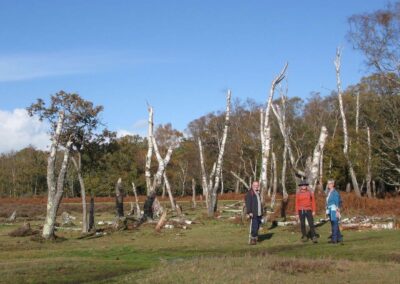Photo of walkers against a striking background of silver birch trunks – November 1, 2025