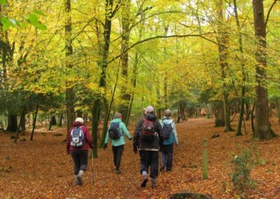 Photo of glorious autumn colours on the Tall Trees Trail – November 1, 2025