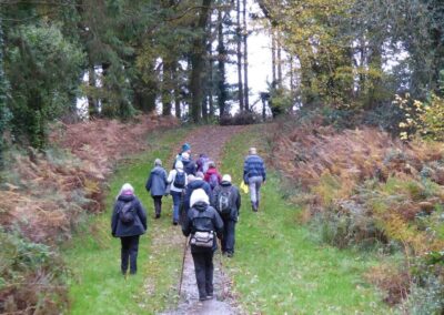 Photo of walkers on a woodland path – November 5, 2025
