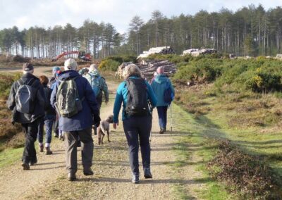 Photo of walkers approaching logging operations – December 13, 2025