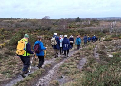 Photo of walkers crossing heathland – December 17, 2025