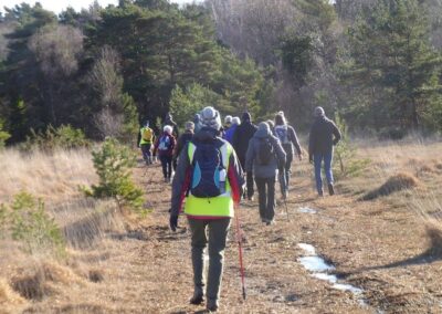 Photo of walkers near The Blue Pool – January 3, 2026