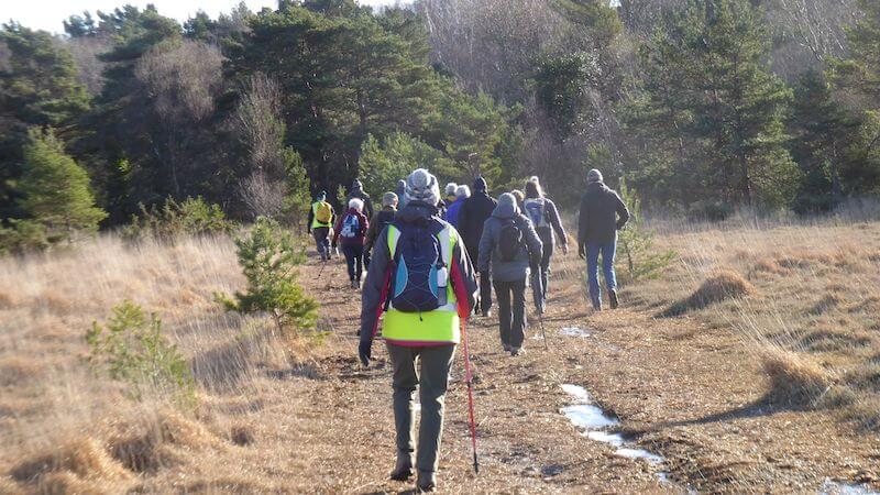 Link to January 2026 photo gallery