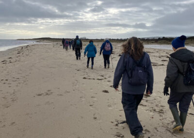 Photo of walkers on beach at Shell Bay – February 7, 2026