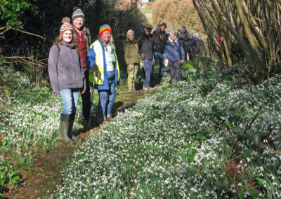 Photo of walkers admiring carpets of snowdrops – February 14, 2026