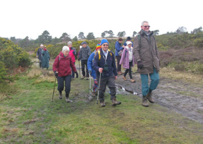 Photo of walkers crossing Holt Heath – February 21, 2026