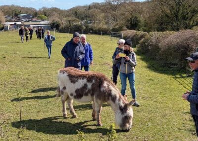 Photo of walkers with a miniature skewbald donkey – March 28, 2026