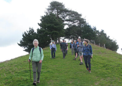 Photo of walkers descending Colmer's Hill against the backdrop of Scots and Monterey Pines on the summit – April 18, 2026