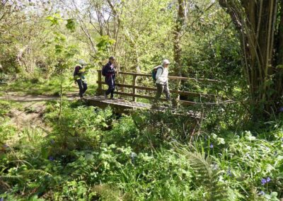 Photo of walkers on a picturesque bridge over Corfe River – April 22, 2026