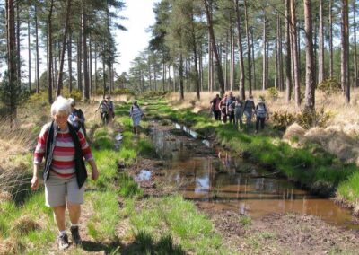 Photo of walkers on Lower Hyde Heath – April 25, 2026
