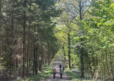 Photo of walkers in Upper Kitemoor – April 29, 2026