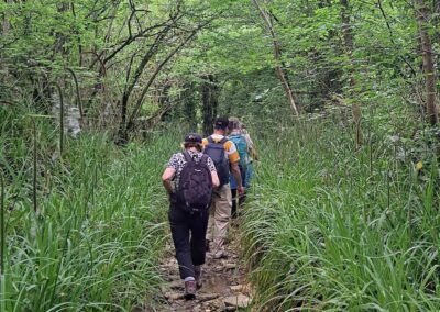 Photo of walkers on woodland paths near Lower Sturthill – May 9, 2026