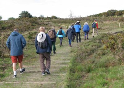 Photo of walkers on the boardwalk from Greenland Farm track – May 11, 2026
