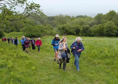 Photo of walkers on field paths – May 20, 2026