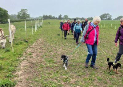 Photo taken in the donkey field at Quarr Farm – May 20, 2026