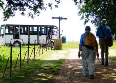 Photo of walkers exploring on foot as an electric shuttle bus passes by – May 30, 2026