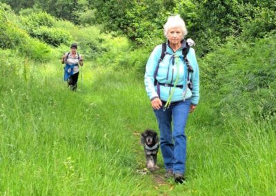 Photo of walkers in woods near Coombe Keynes – June 7, 2026