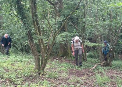 Photo of walkers in woodland – June 17, 2026