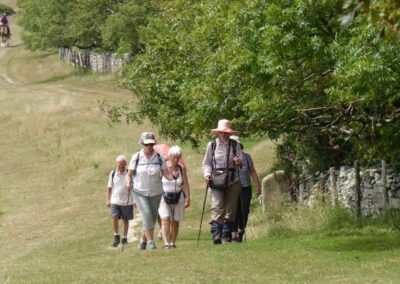 Photo of walkers nearing Sheep Pen car park, followed by horses – June 27, 2026