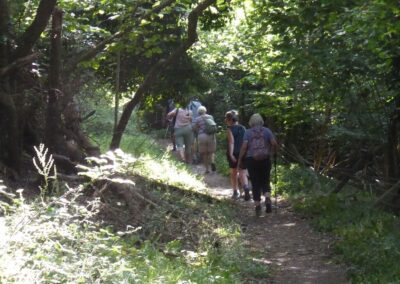 Photo of group walking through woods – July 9, 2026